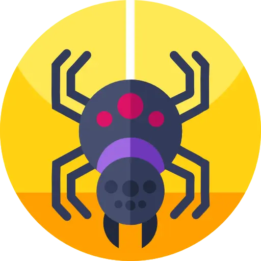 Web Scraper Spiders